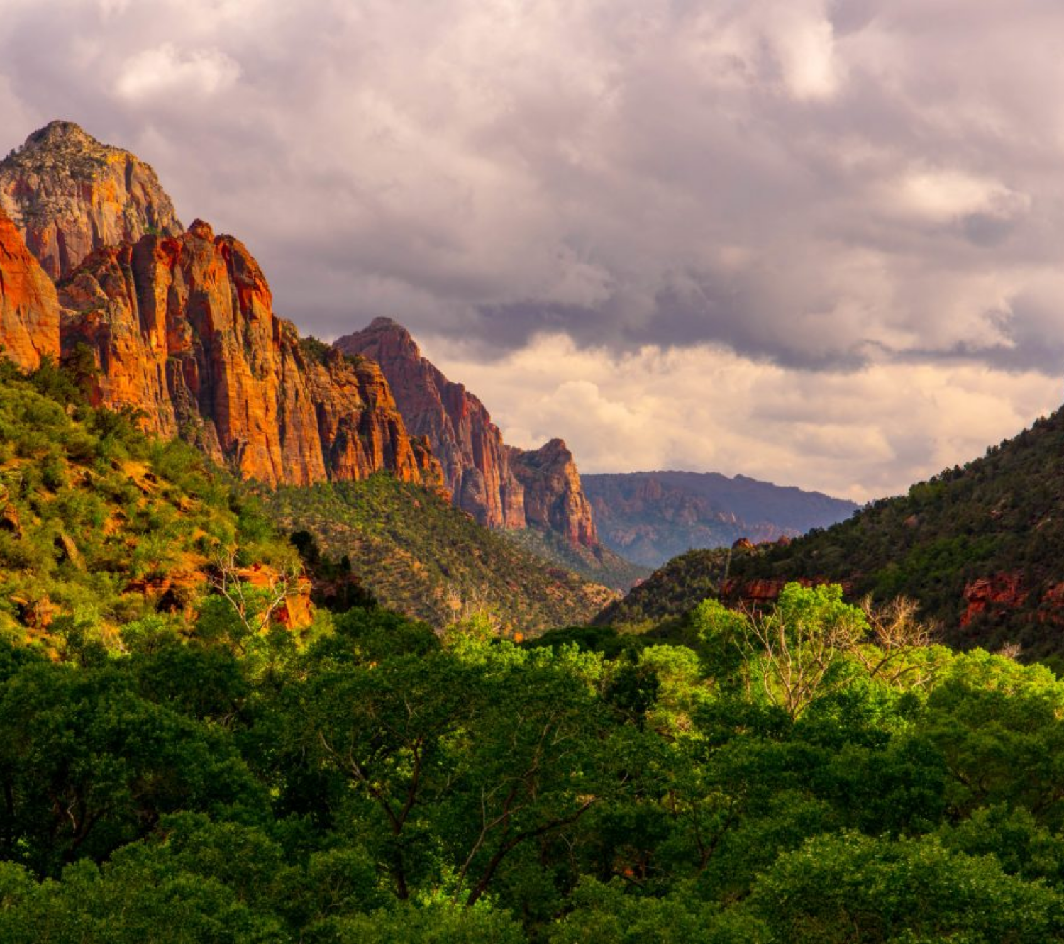 View of the Grand Canyon National Park.