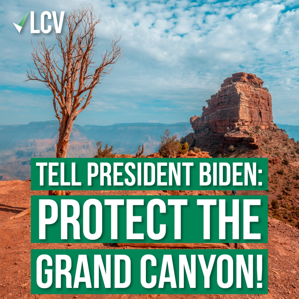 We Must Protect the Grand Canyon as a National Monument League of