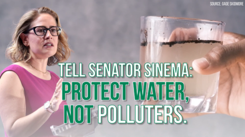 Image of Senator Kristen Sinema and a glass filled with dirty water. Text reads, "TELL SENATOR SINEMA: PROTECT OUR WATER, NOT POLLUTERS."