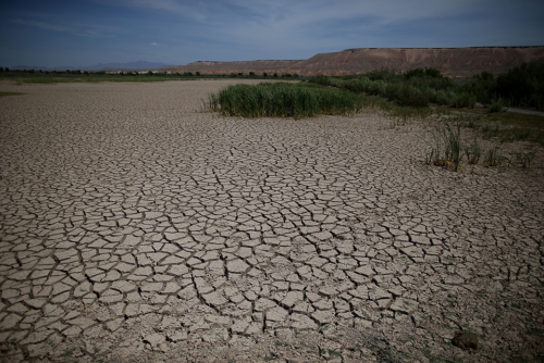 A dry, cracked desert landscape.