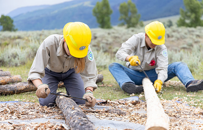 Two conservation corps volunteers debarking logs.