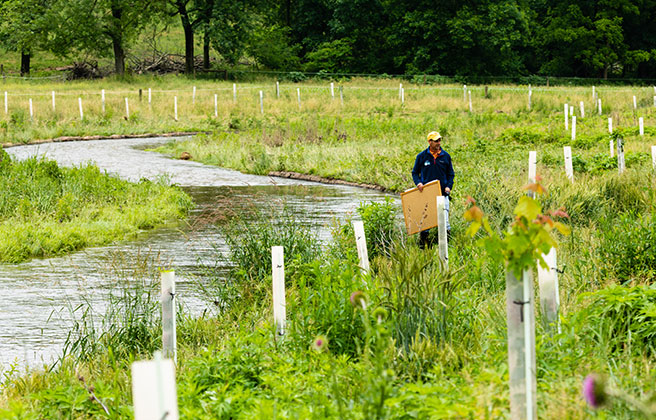 Farmer walking through an area on their farm with a small river.