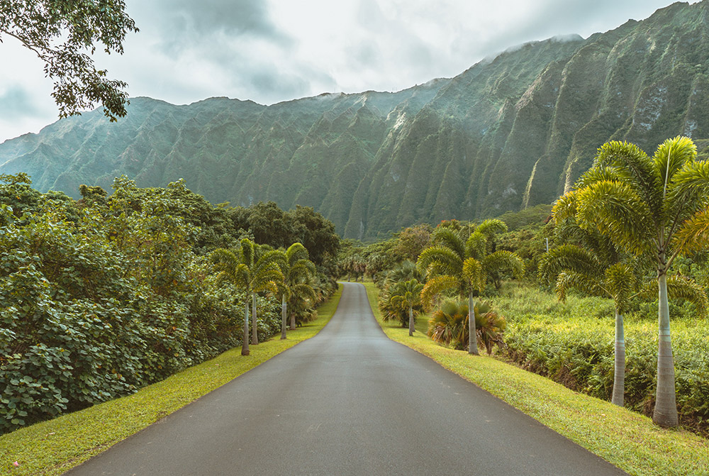 Road leading through the Ho’omaluhia Botanical Gardens in Oahu, Hawai'i.