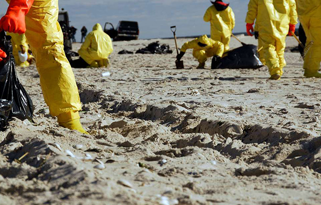 Workers pick up oil particles from a stretch of sand on Atlantic Beach, near Jones Beach, N.Y.