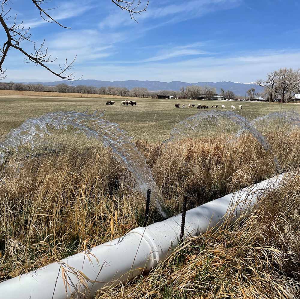 A section of gated pipe in the grass.