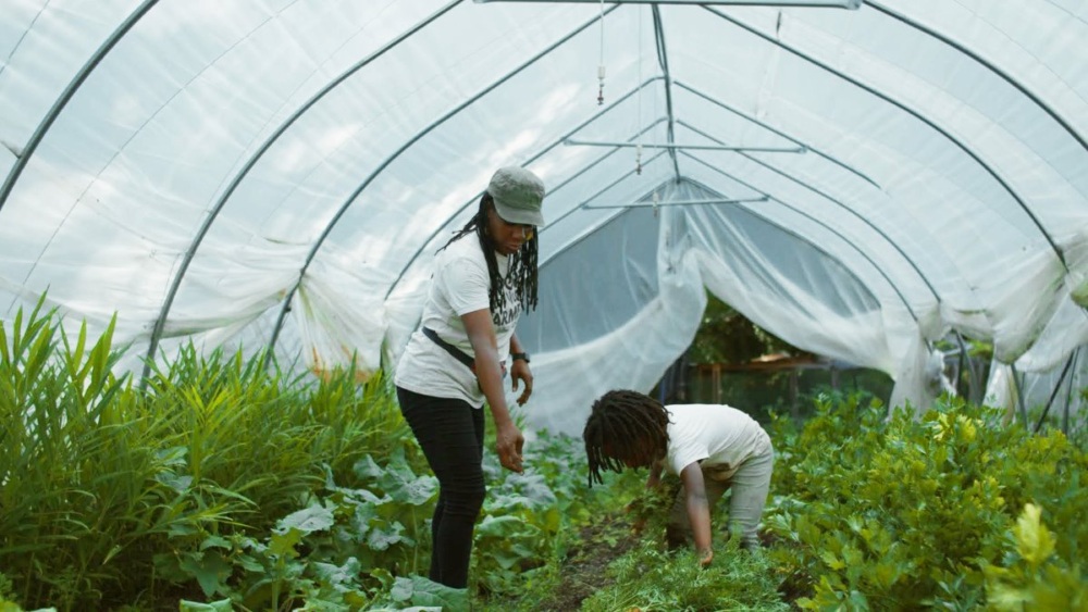 Two people working with crops inside a hoop house.