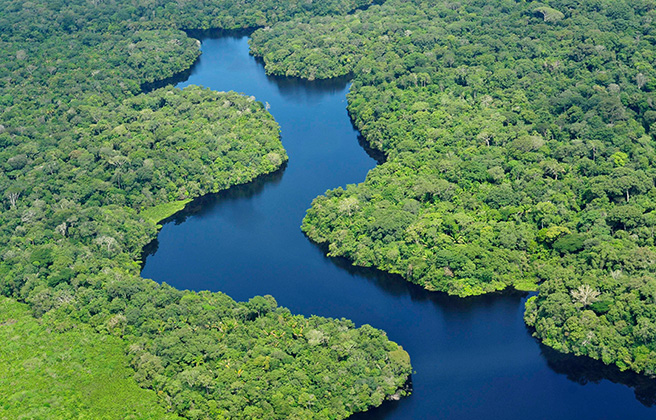 Overhead view of the Amazon 
