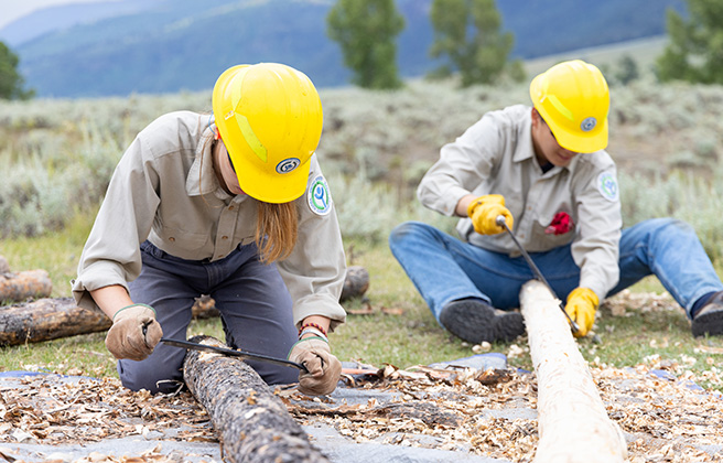 Yellowstone Youth Conservation Corps replacing fence posts.