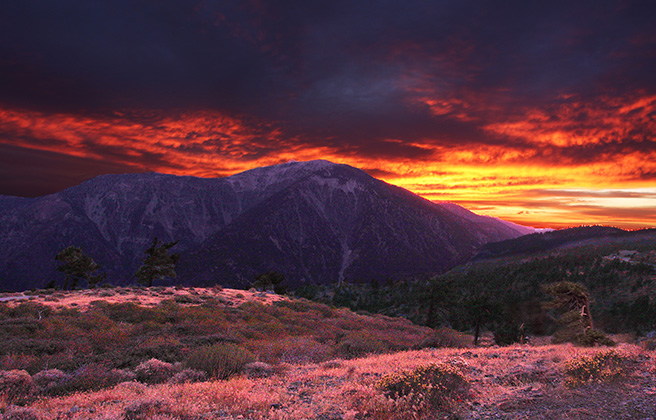 Sunset in the San Gabriel mountains just above Wrightwood, CA.