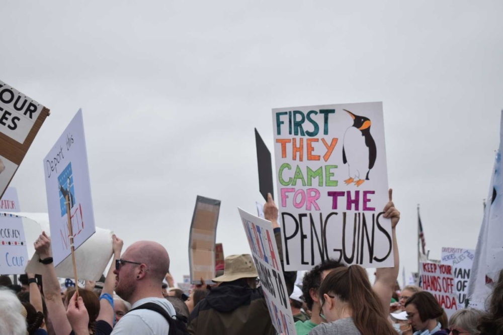 A protest sign with a drawing of a penguin and the words "First they came for the penguins."