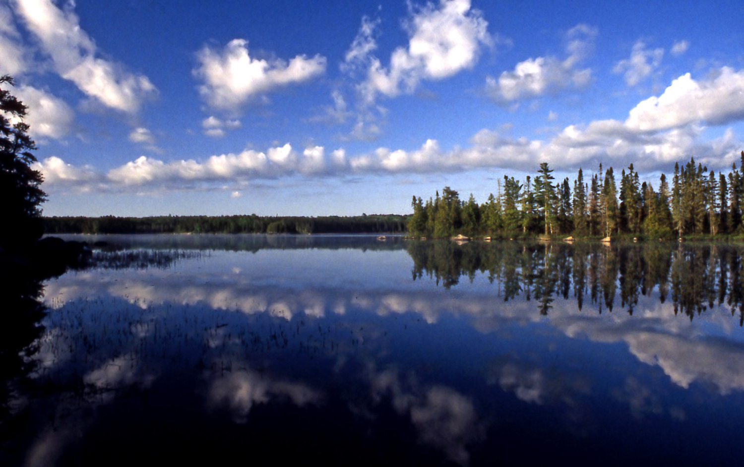 A lake and trees under a blue sky.