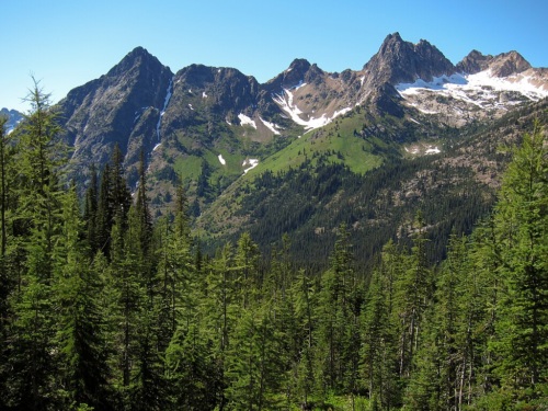 A forest with mountain peaks in the background.