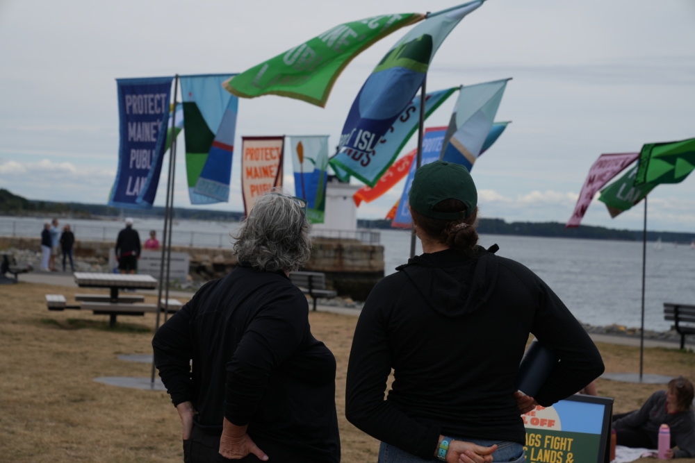 Two people are seen from the back looking at flags flying on a shore with water in the background.