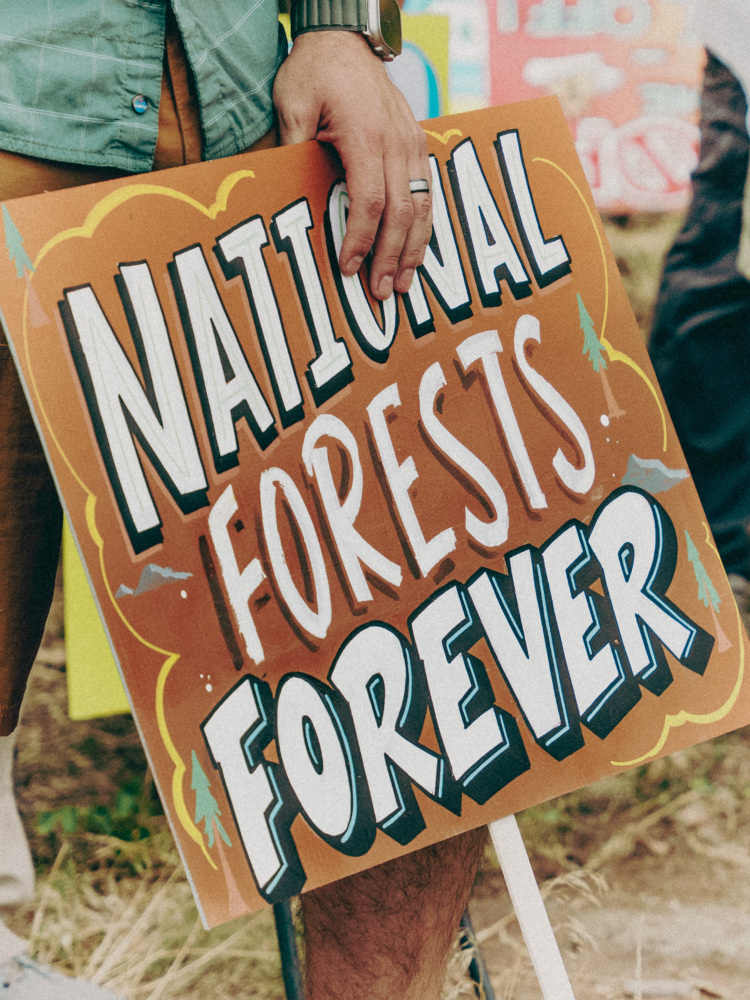 A sign reading "National Forests Forever."