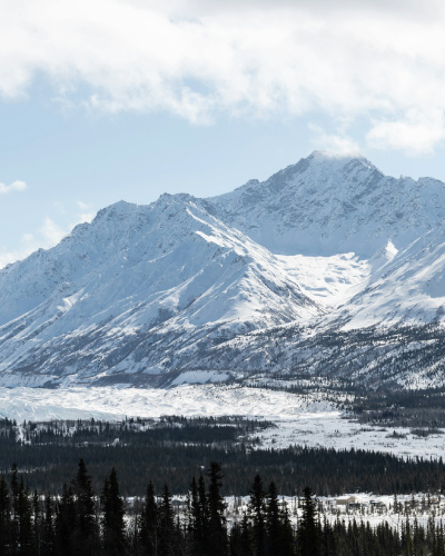 An arctic landscape with trees in the foreground and snow-covered mountains in the background