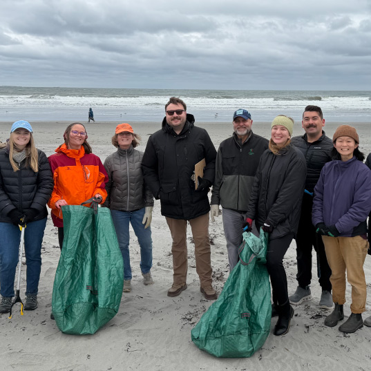 Climate Action volunteers do a beach clean up