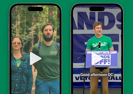 Mockups of phone showing social media videos