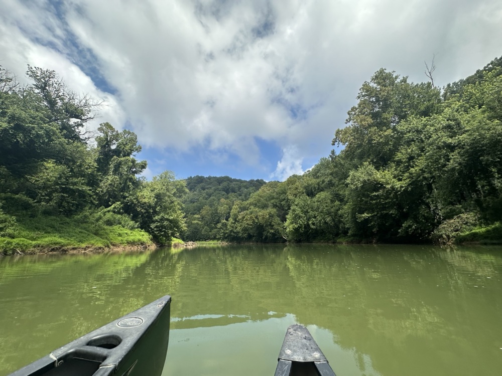 A tree lined body of water.