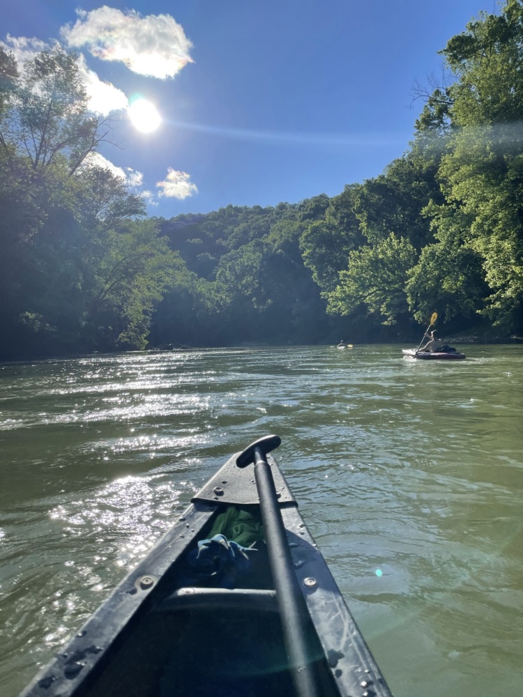 A tree lined body of water with the front of a kayak in the foreground.