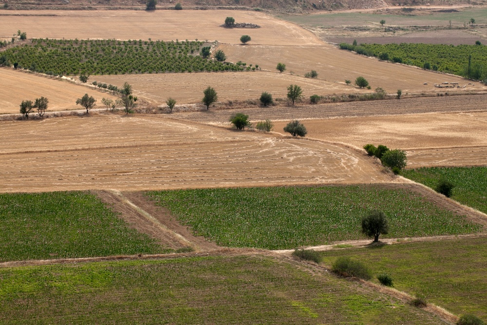 Aerial view of a farm landscape.