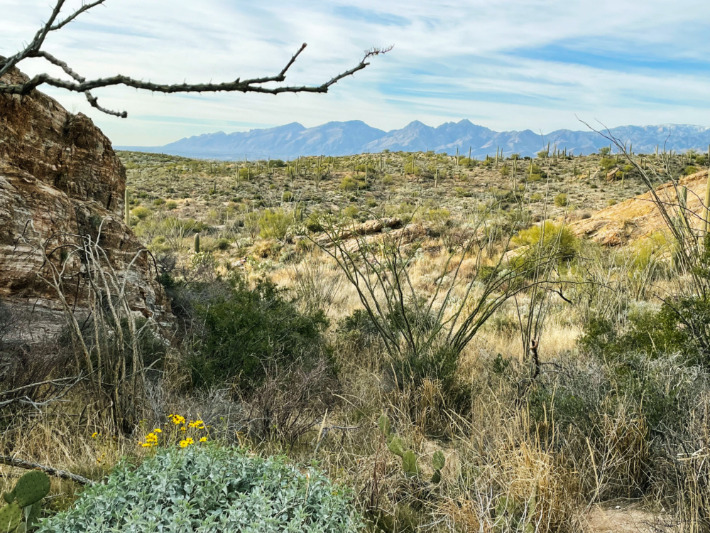 A desert landscape.